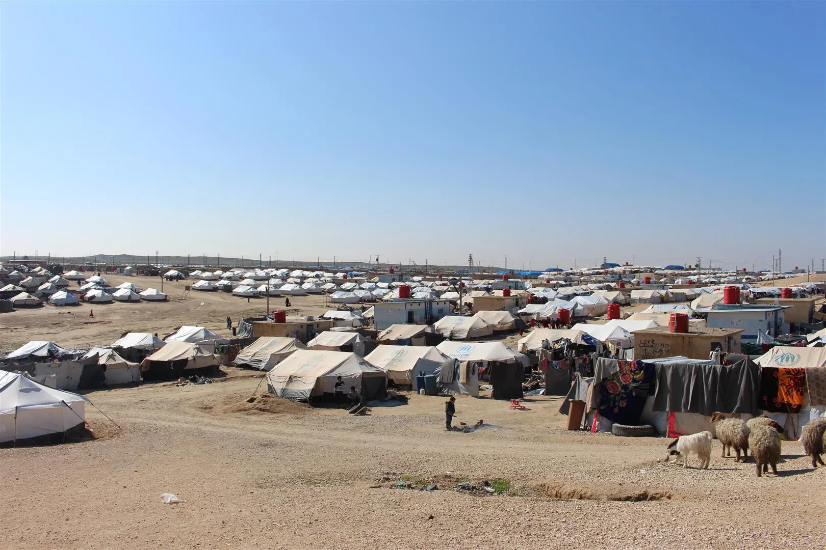Kombûna çopê li kampa Holê dibe sedema nexweşiyan