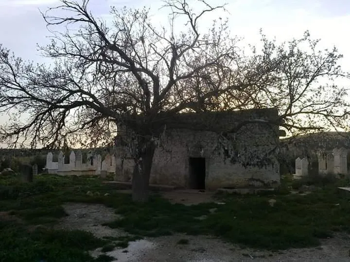 Malbatên Tirkmen li şûna efrîniyan têne bicihkirin