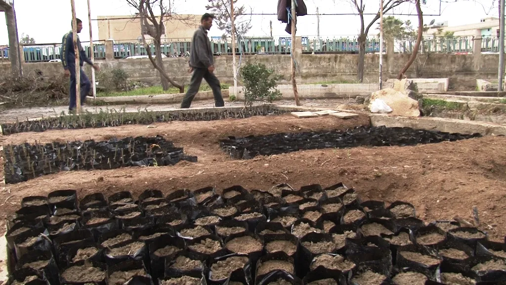 Şaredariya El-Mensûra bi derfetên kêm xebatên xwe dimeşîne