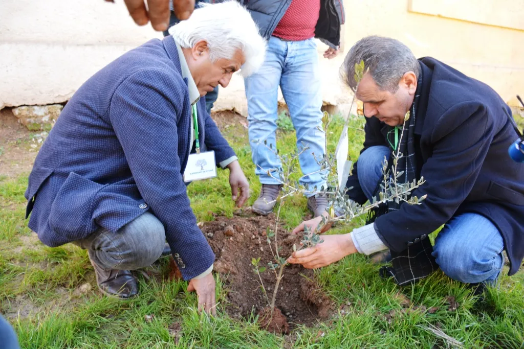 Pêngava Karwanê Zeytûnan ji Kobanê dest pê kir