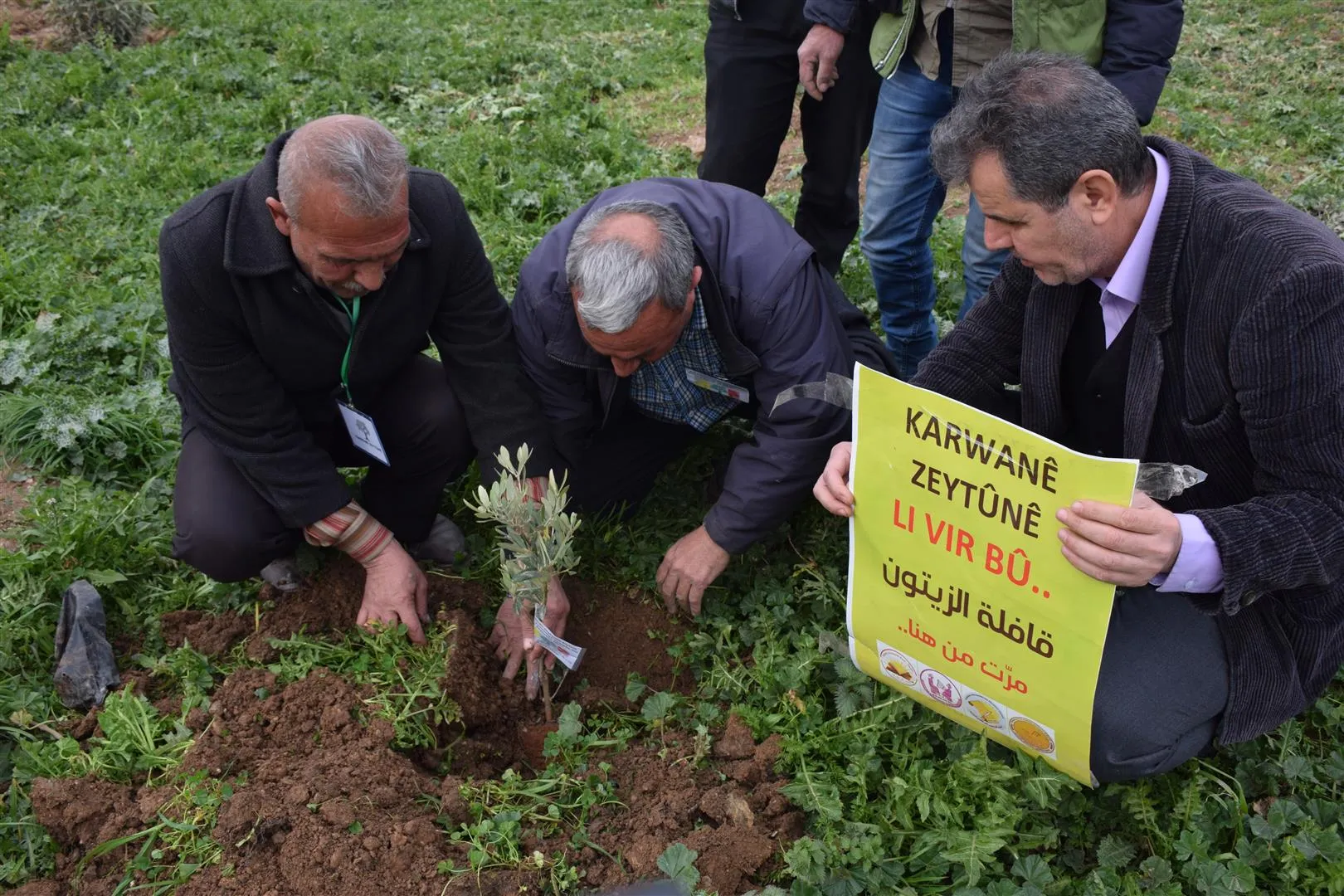 Şitlên darên zeytûnan li Hesekê hatin çandin