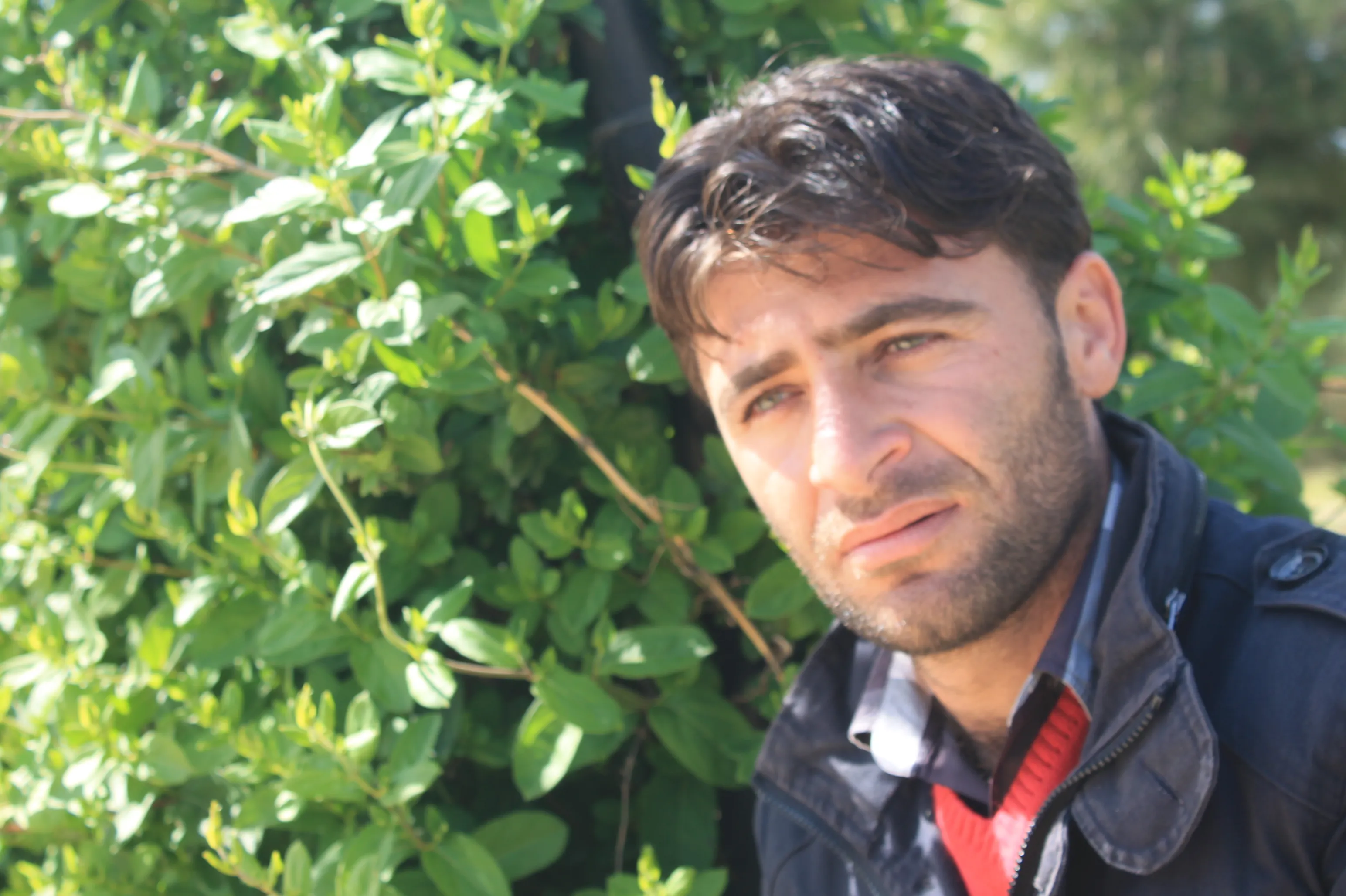 Şûr li dijî gelê xwe rakir û li hemberî dijminan bêdeng e