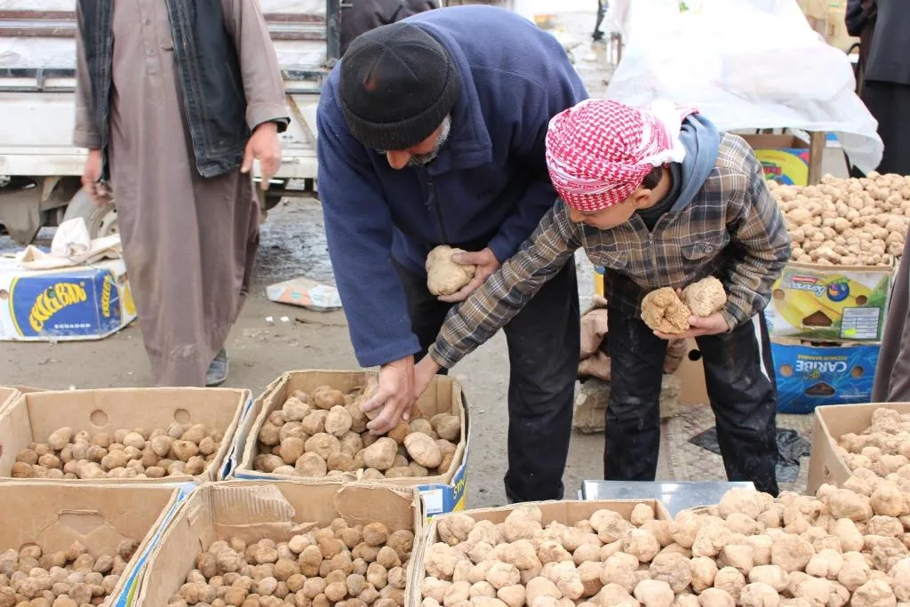 Li bazarên Reqayê firotina kêvarkan