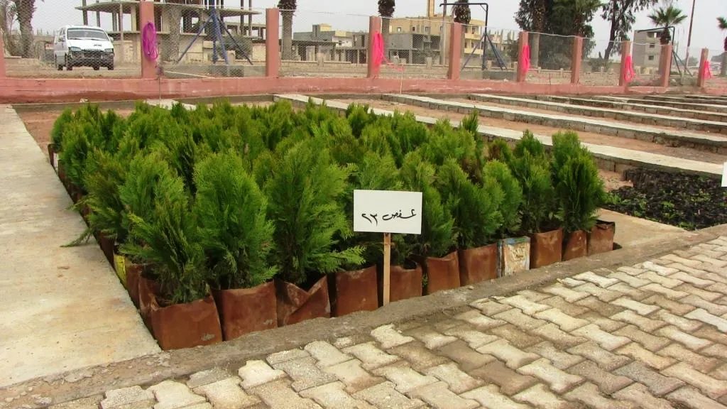 Li Reqayê pêngava "Şehîd darên rehjen in"
