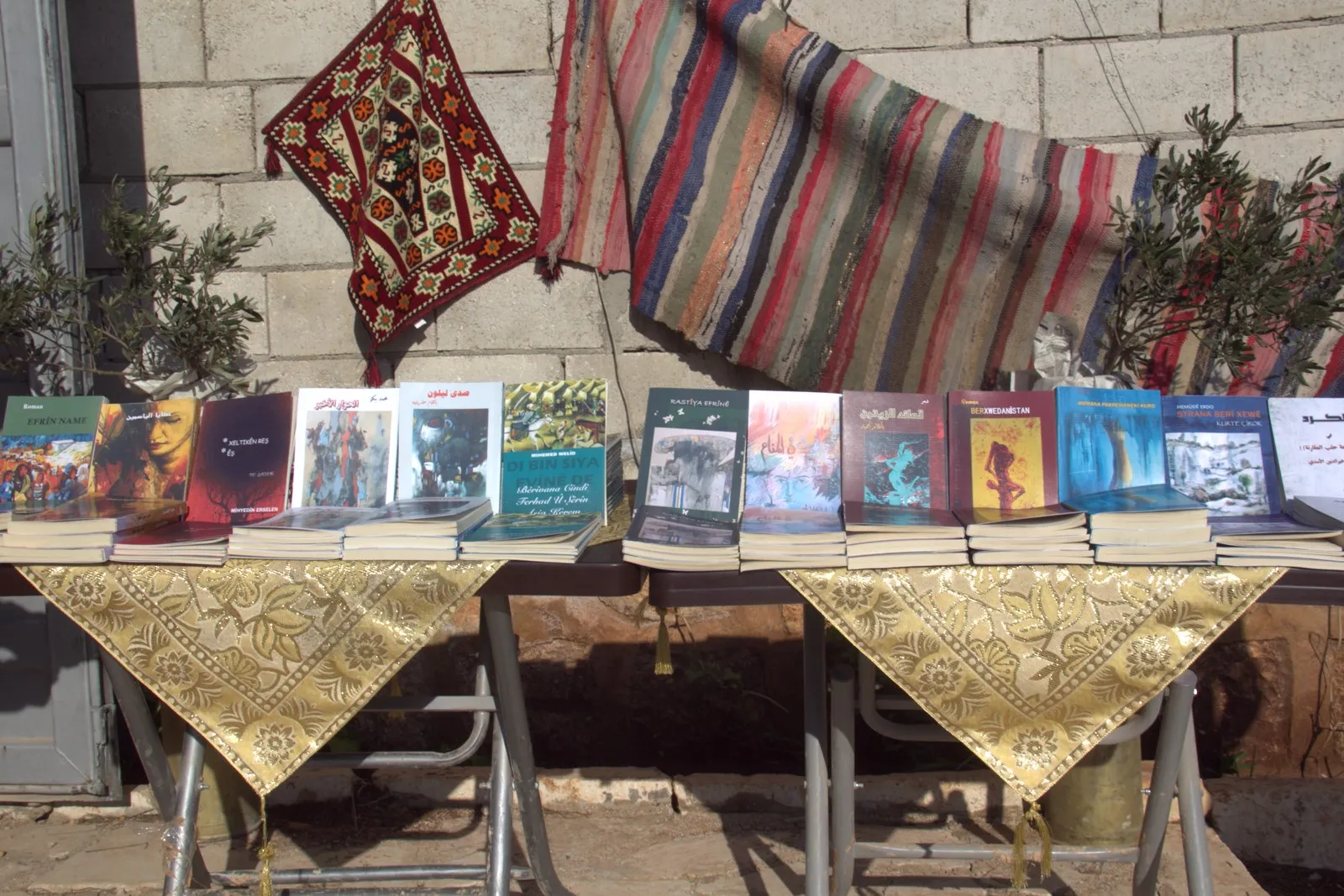 Nivîskarên Efrînê Berxwedana Serdemê kirin pirtûk