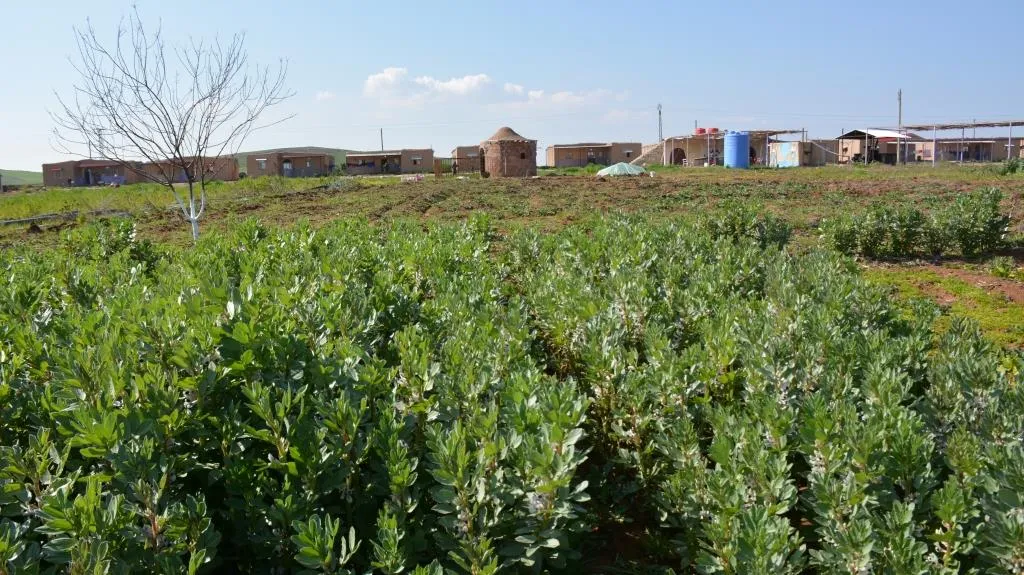 Jinwar… sembola têkbirina hişmendiya baviksalar