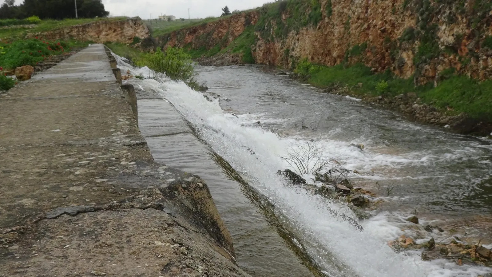 Dijminahiya Tirkiyê li dijî gelê Sûriyê kevin e