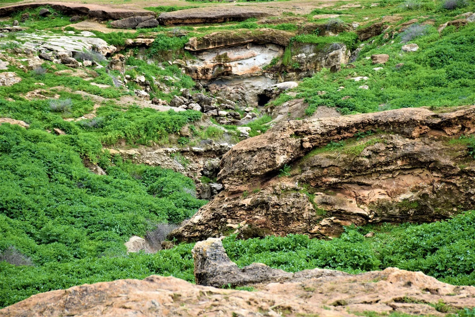 Dewleta Tirk di şerê xwe yê li dijî gelê Bakurê Sûriyê de avê bi kar tîne