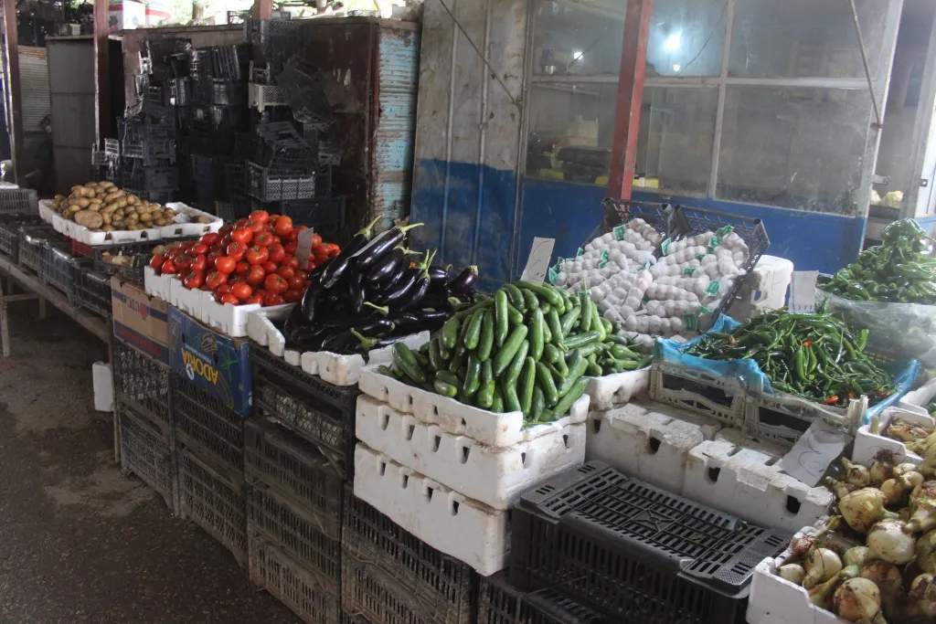Gelê Cizîrê banga kontrolkirina buhayê madeyan dike