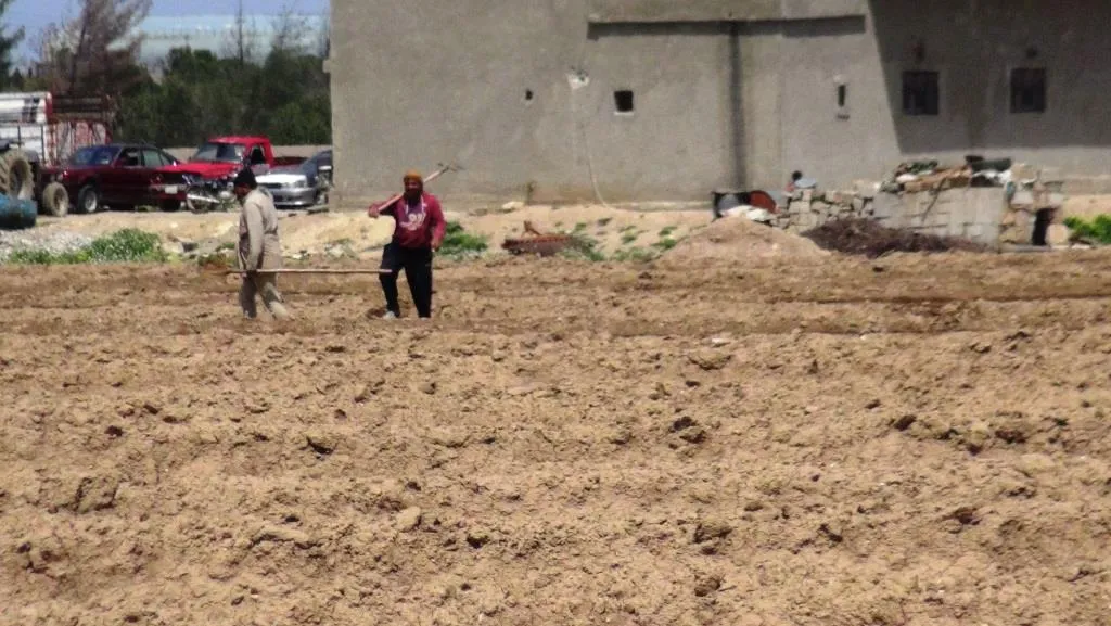 Li Tebqayê hişyariya ji bo hilberîna mewsimê
