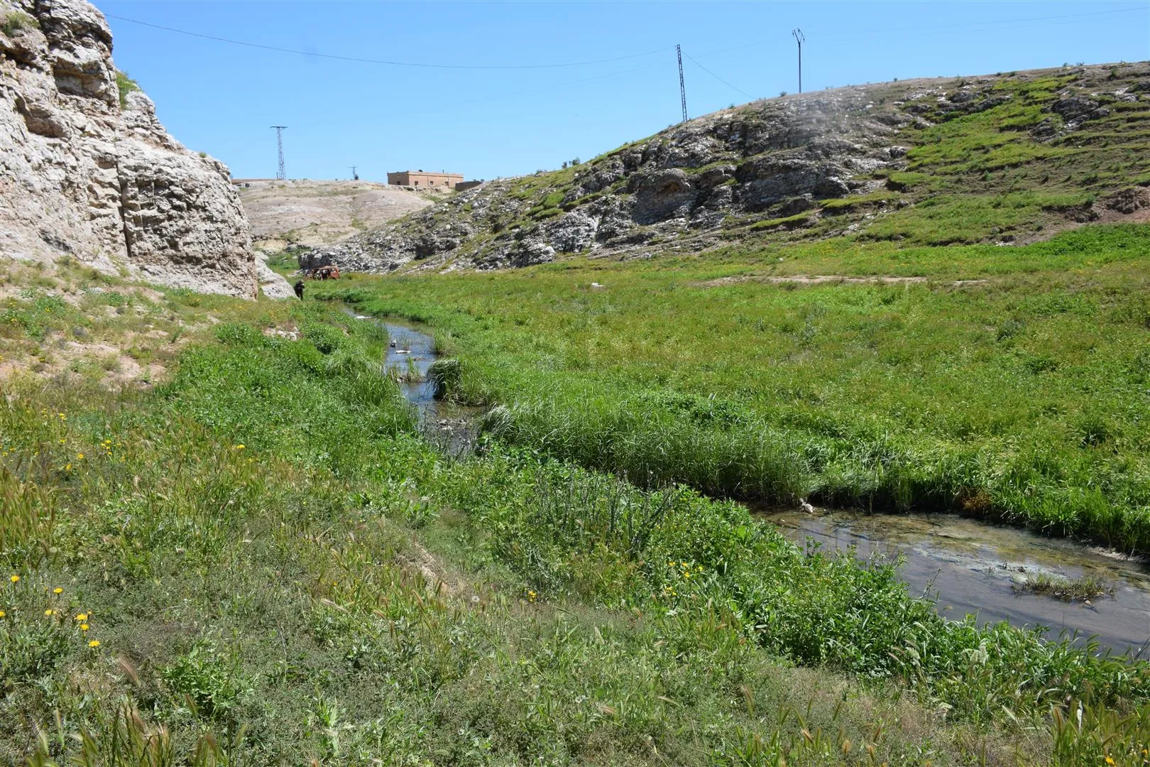 Şêniyên Holê ji ber kombûna ava kanalîzasyonê bi gazin in