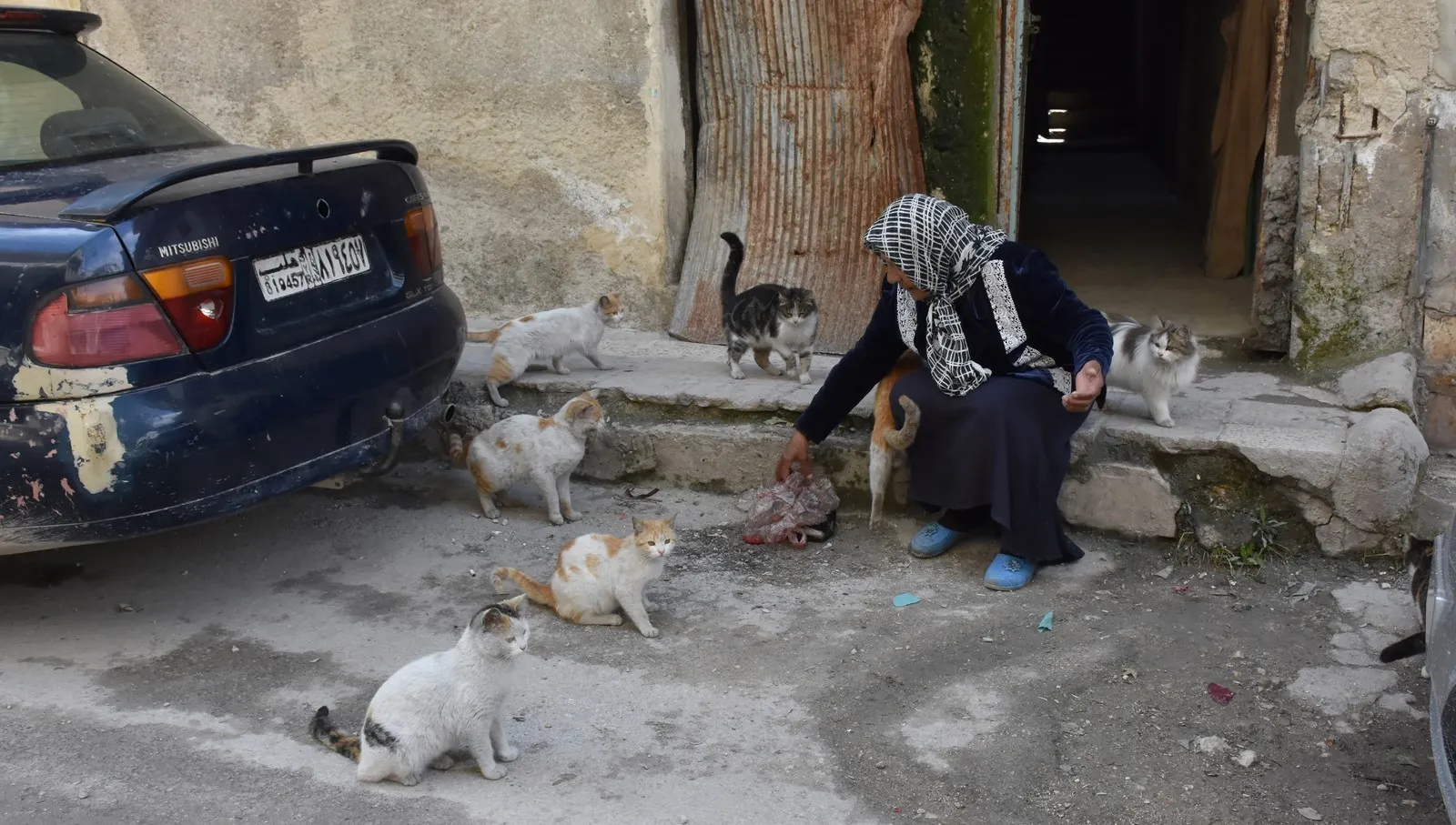 Tevî rewşa jiyanî ya nebaş xwarina xwe bi pisîkan re parve dike