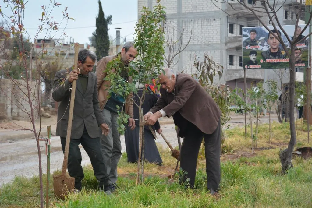 Bi boneya rojbûna Ocalan dar têne çandin