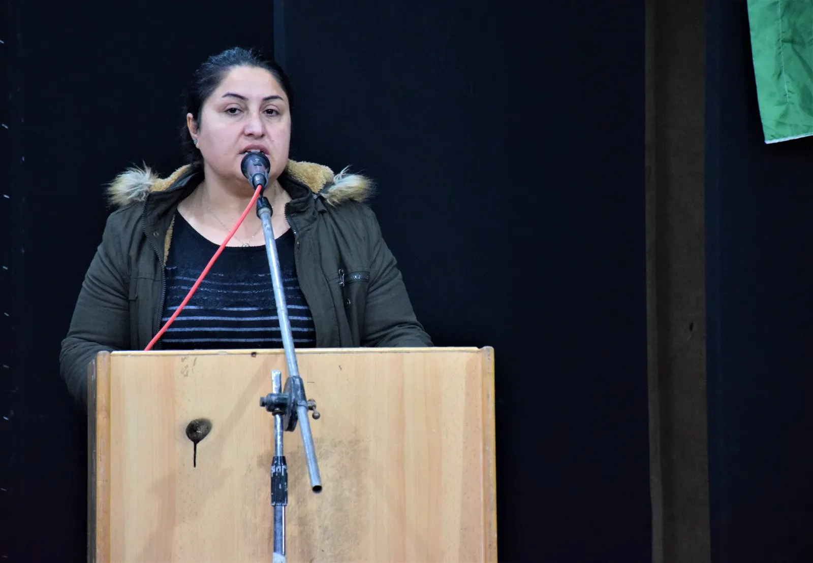 ‘Jinan roleke çalak li ser bingeha fikr û felsefeya Ocalan lîst’