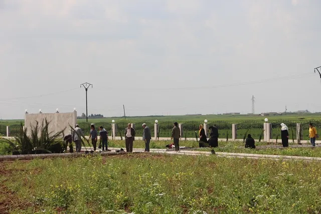 Şêniyên Tirbespiyê li goristana şehîdan dar û kulîlk çandin