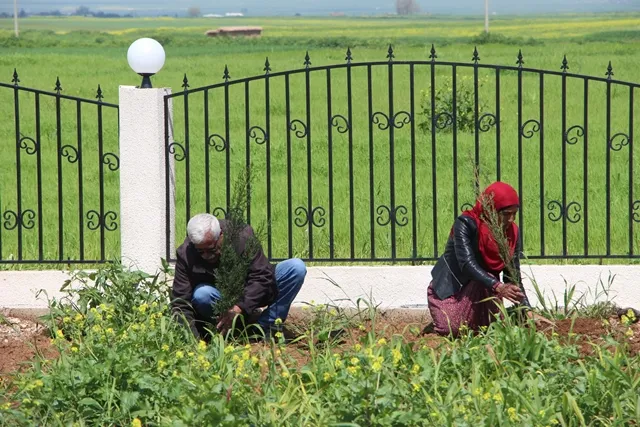 Şêniyên Tirbespiyê li goristana şehîdan dar û kulîlk çandin
