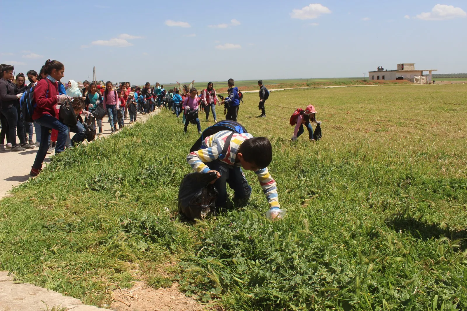 Li Şehbayê kampanyayê paqijkirinê