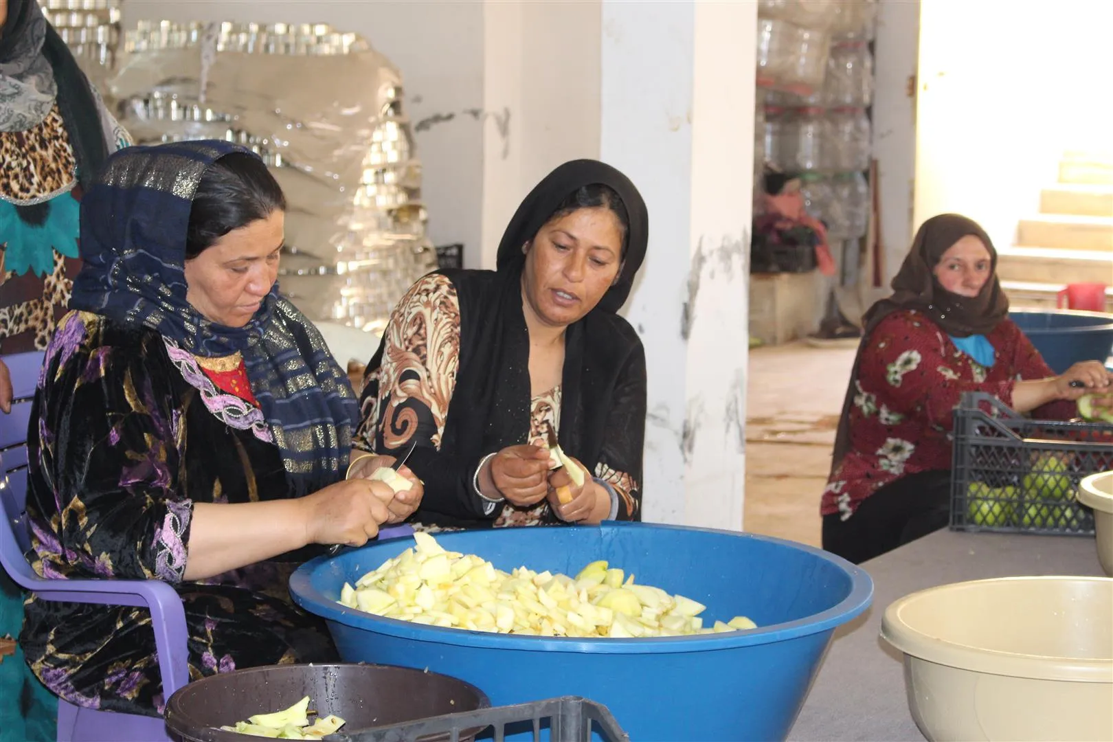 Jinên Kurd û Ereb di Kargeha Çardemsal de biratiya gelan û jiyana hevpar temsîl dikin