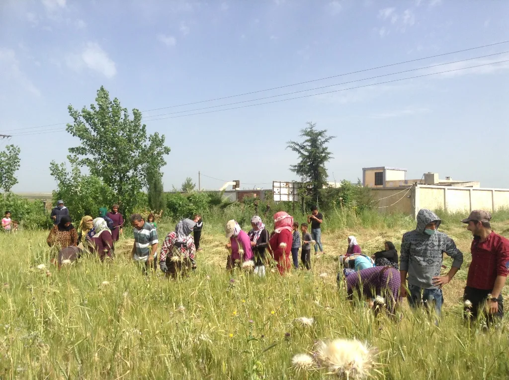 27 malbat rihê jiyana komînal li gund xurt dikin