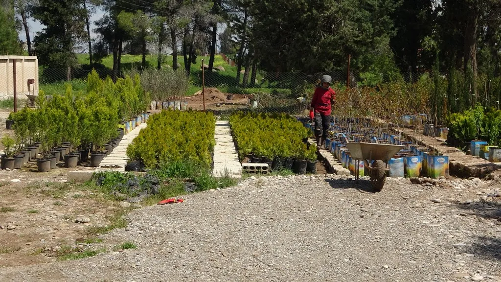 Şitilgeha Roj ji bo parastina hawîrdorê projeyek pêşeng e
