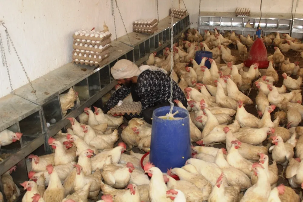 Medceneyên Ebû Qibêî piştî restorekirinê ketin xizmetê