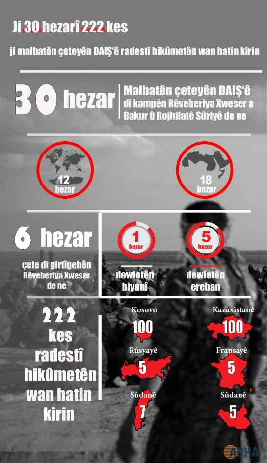 Ji 30 hezarî 222 kes ji malbatên çeteyên DAIŞ`ê radestî hikûmetên wan hatin kirin