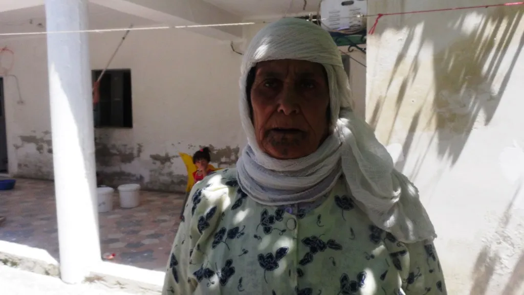Şaredariya Kobanê dê dermanê dûpişk û mêşan belav bike
