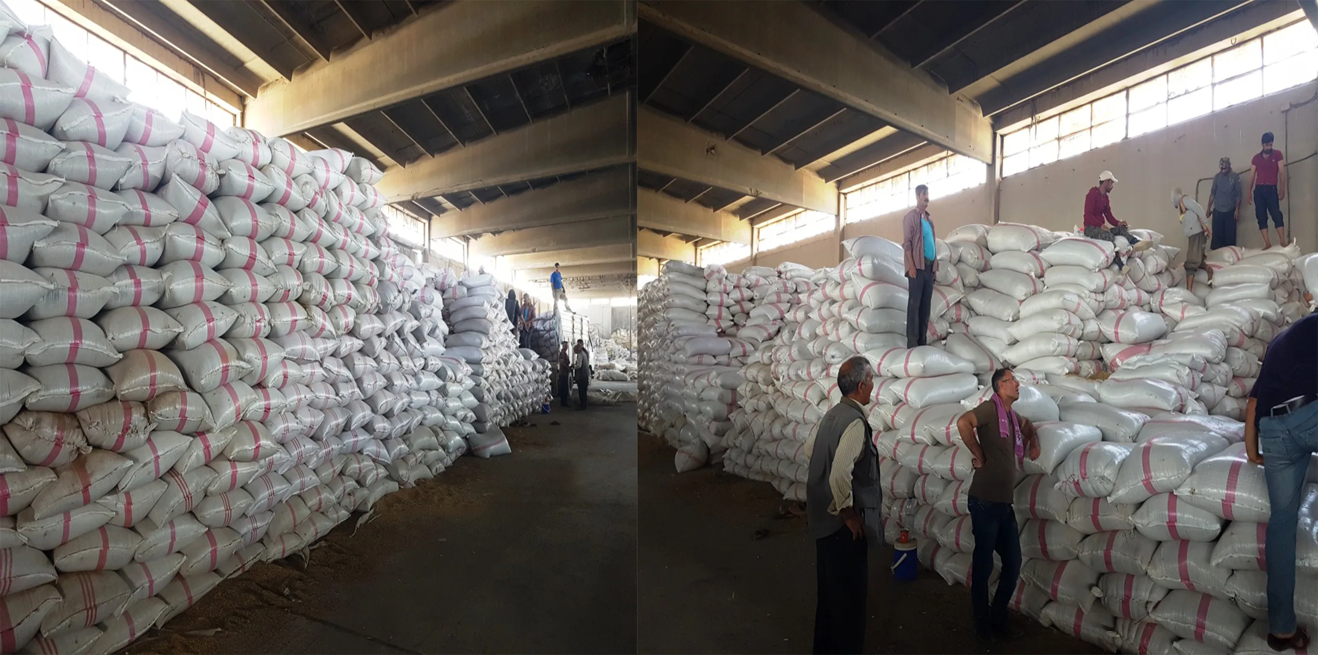 Li Kobanê 2 hezar û 600 ton ceh hatiye wergirtin