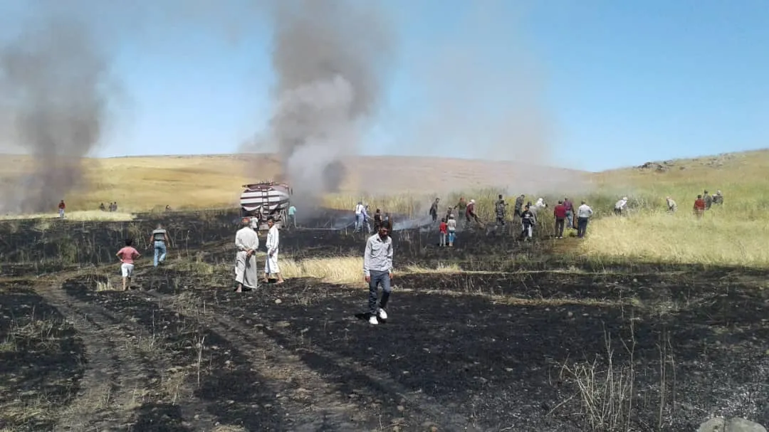 Li Çilaxa agir 5 hêktar ji hilberîna genim da ber xwe