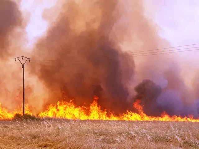 Li  Til Hemîs û Tirbespiyê agir bi zeviyan ket