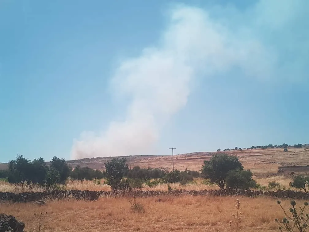 Dagirkeriya Tirk bax û baxçeyên efrîniyan dan ber agir