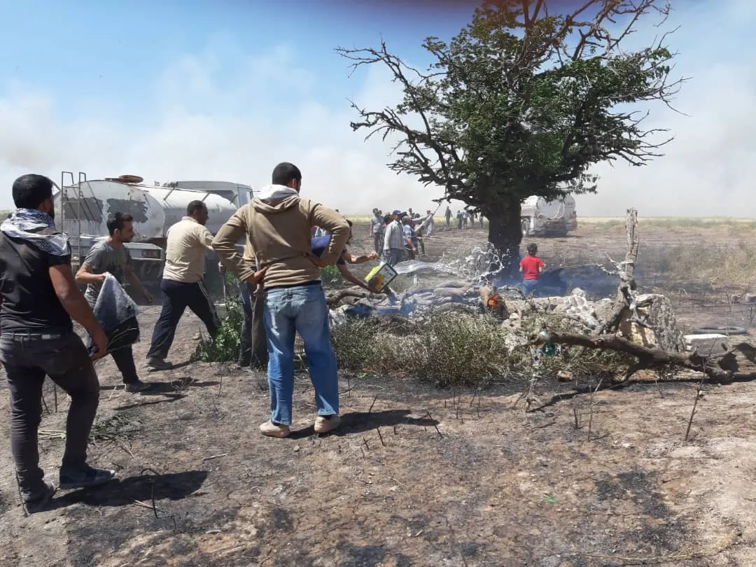 Li gelek deverên Kobanê zeviyên çandiniyê şewitîn