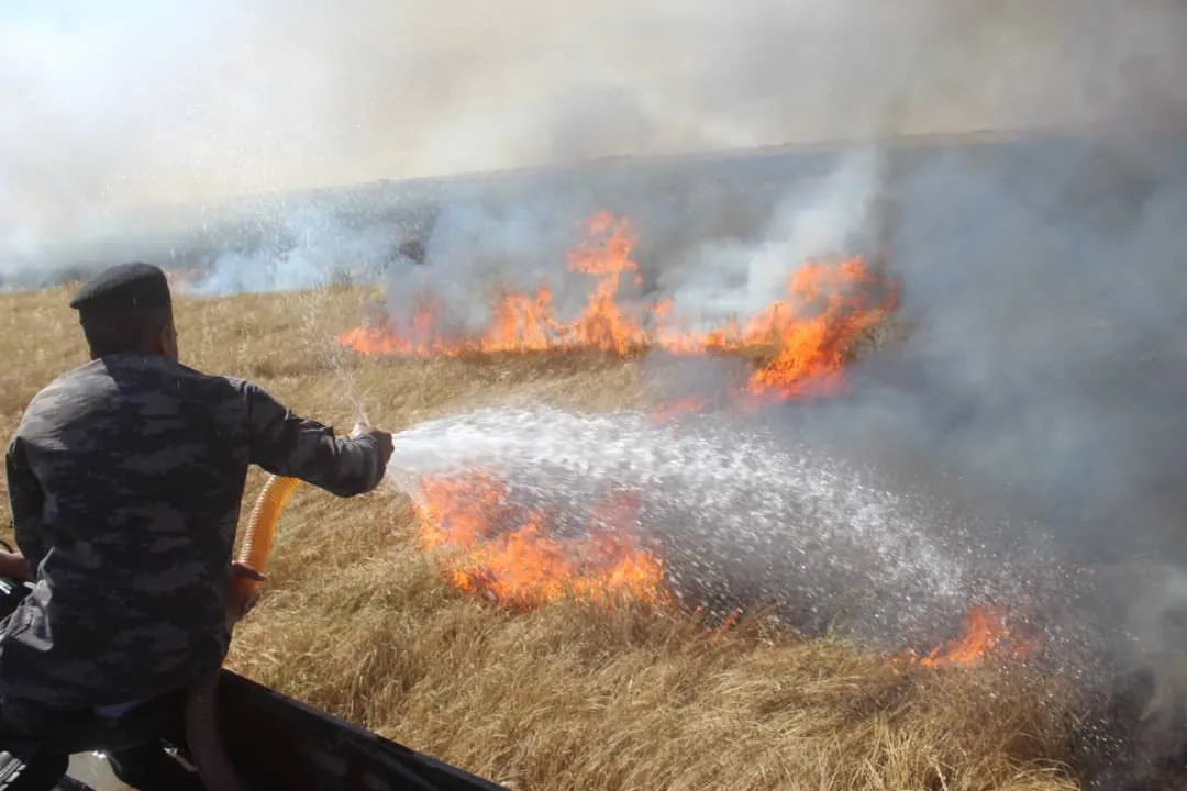 Li Til Birak 200 donim zevî şewitî