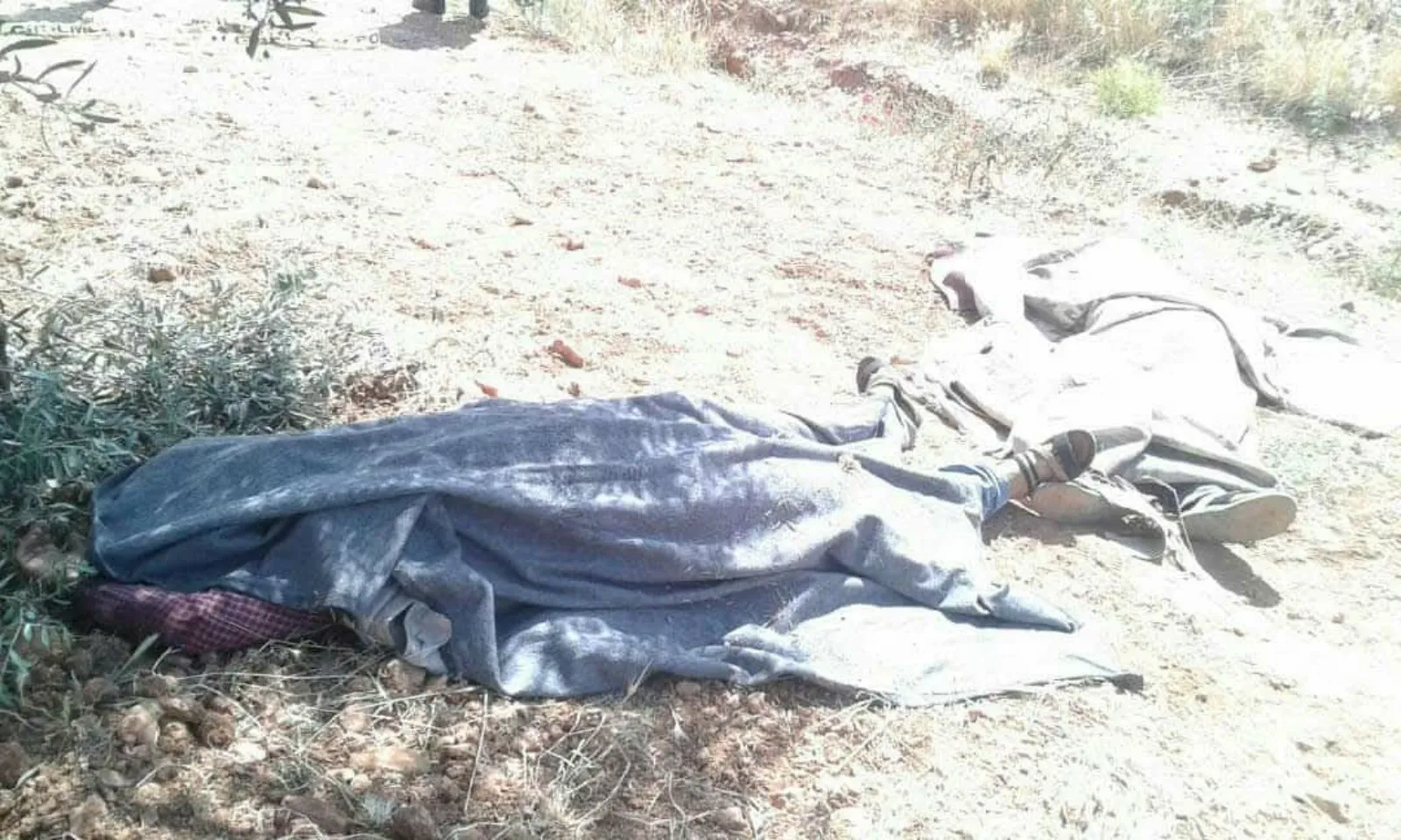 Zulma li Efrînê di nava bêdengiyeke navdewletî de didome