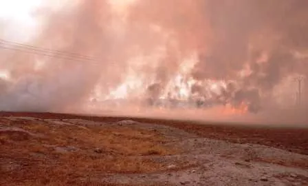 Li Reqayê rihê hevkariyê…