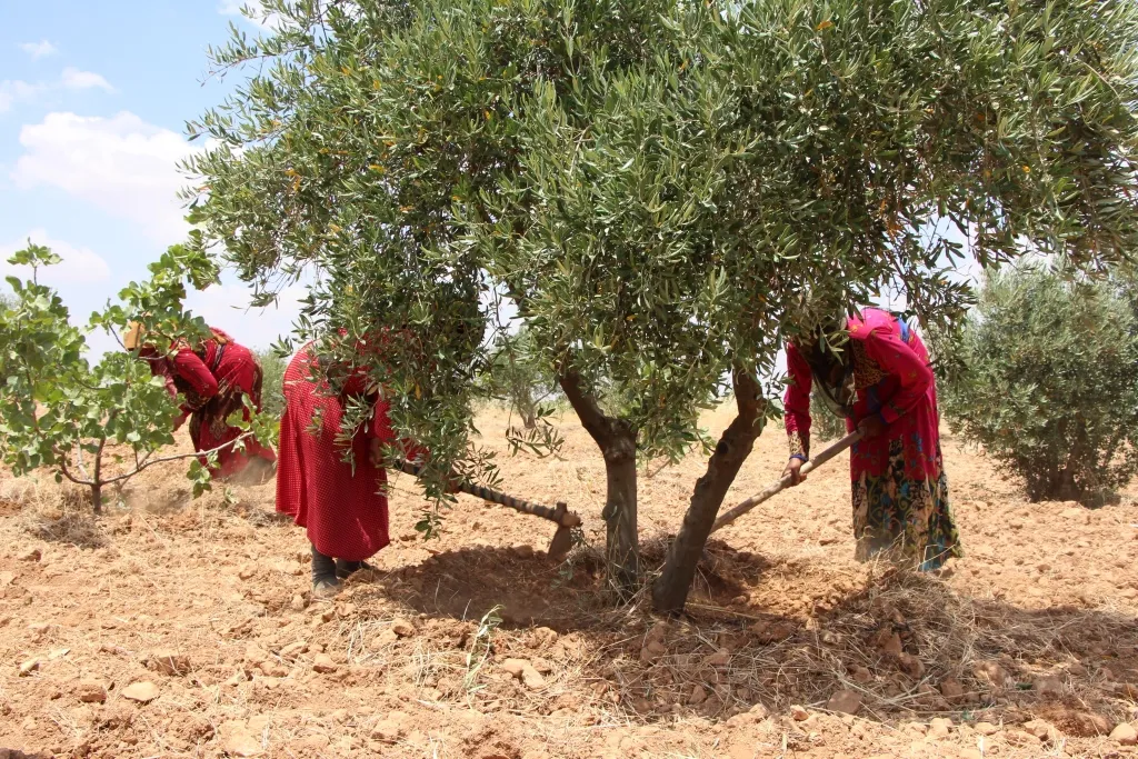 Jinên Minbicê hişmendiya mêrdestiyê dişkînin