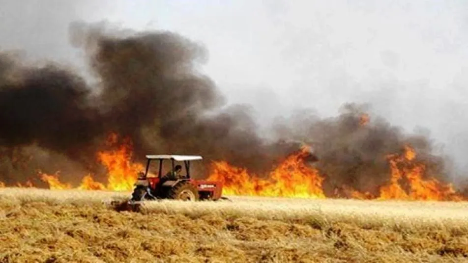 Li Reqayê 28 hezar donim bûye xwelî