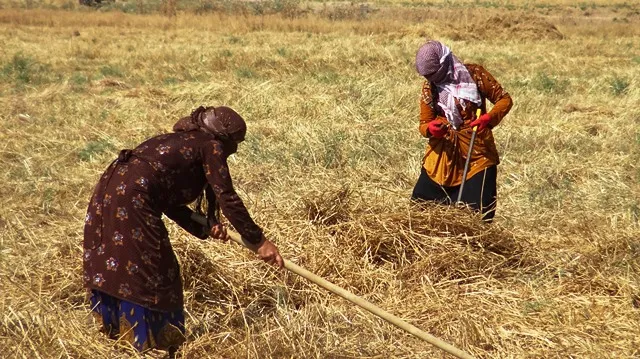 Şêniyên Şedadê sûdê ji bermahiya patozan werdigirin