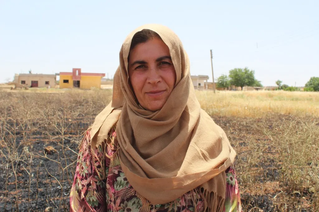 Piştî banga Komîteya Aborî, patoz vedigerin Kobanê