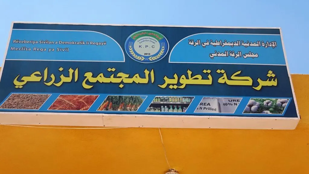 Cotkarên Reqayê pereyên berhemên xwe yên genim û ceh wergirtin