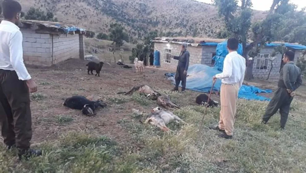 Ji ber topbaran û bombebaranên artêşa Tirk bi dehan sewal mirin