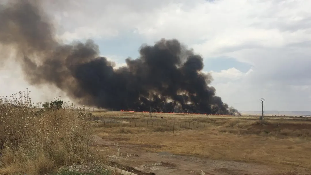 Agir bi zeviyên rojavayê Qamişlo ket