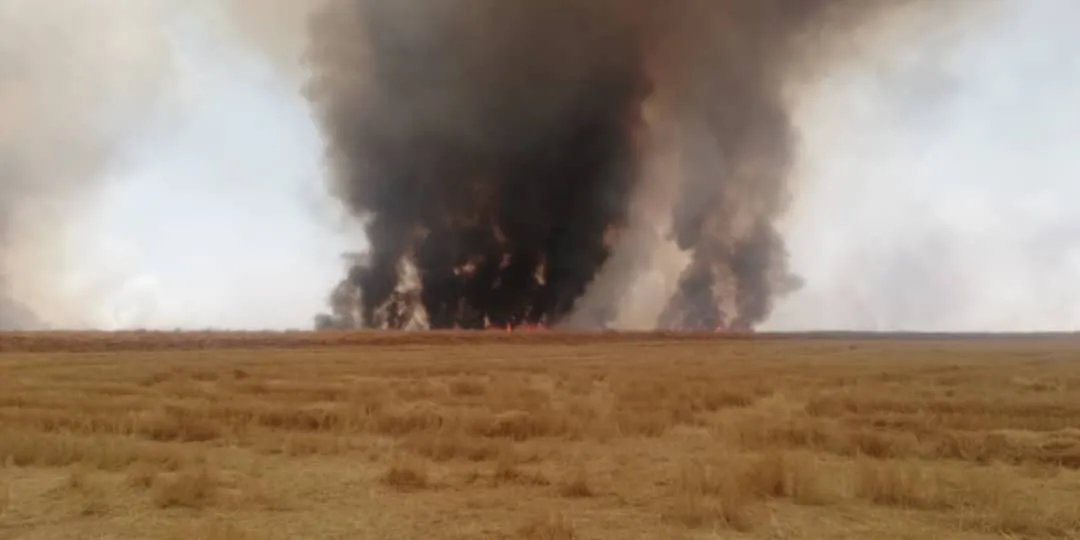 Li başûr rojavayê Qamişlo jî agir bi zeviyan ket