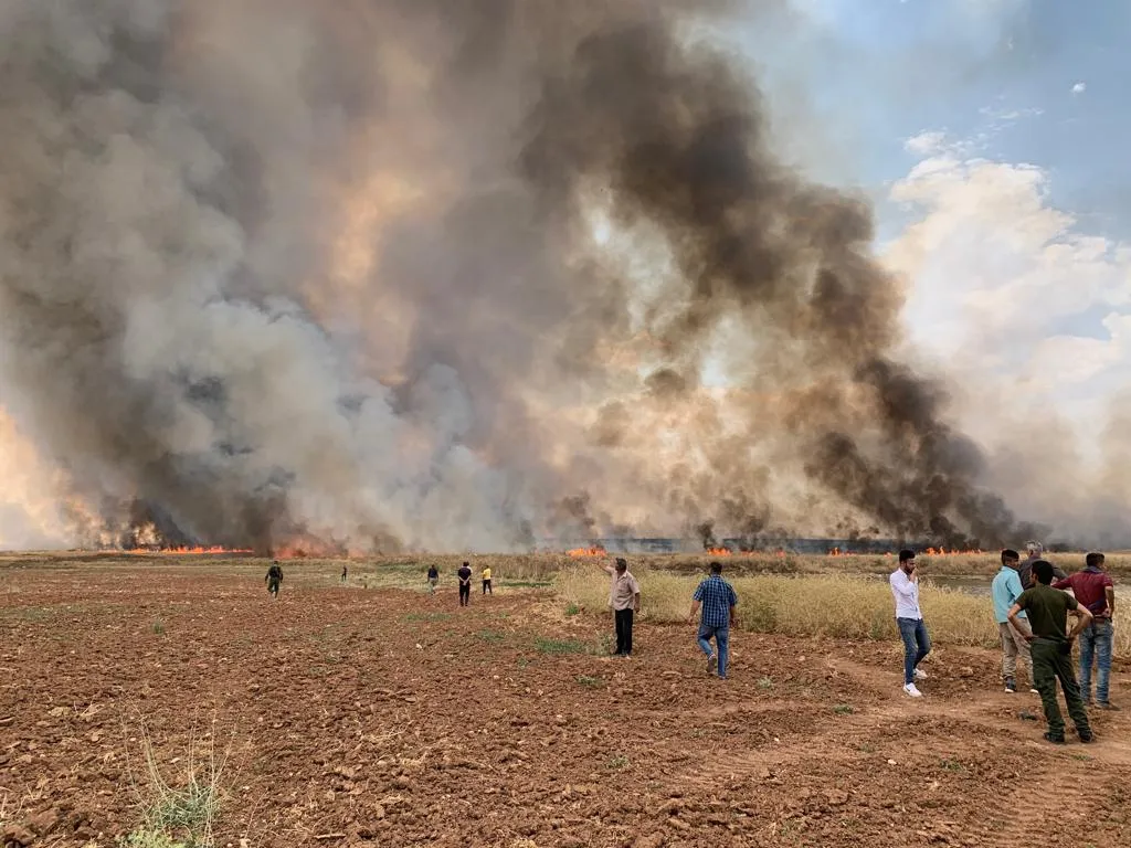 Şewata li gundê Navkurê yê Qamişlo hat vemirandin