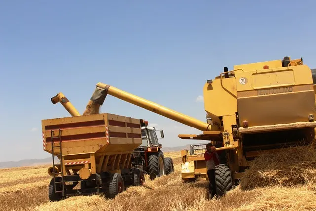 Li Tirbespiyê berhema genimê bejî baş e