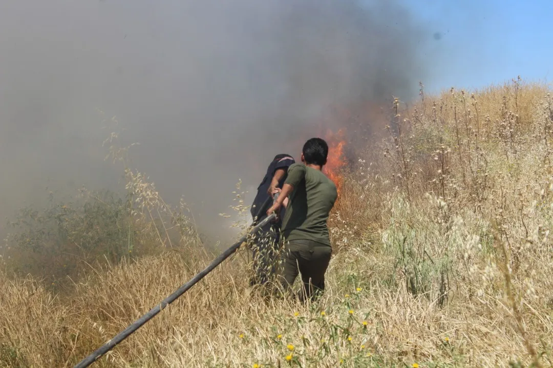 Karê hevbeş rêjeya şewatan li herêma Cizîrê kêm kir