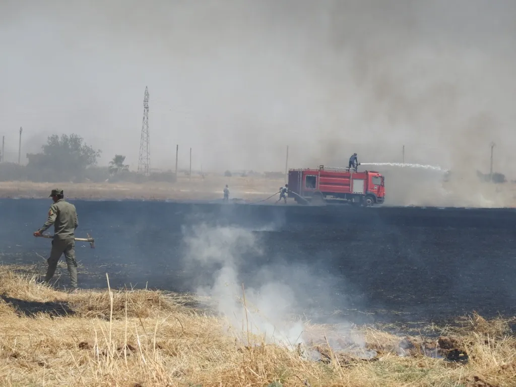 Hezar donim zevî li Girê Spî şewitî û agir nêzî taxên bajêr dibe