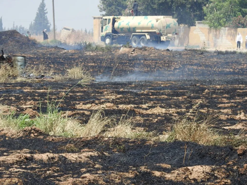 Hezar donim zevî li Girê Spî şewitî û agir nêzî taxên bajêr dibe
