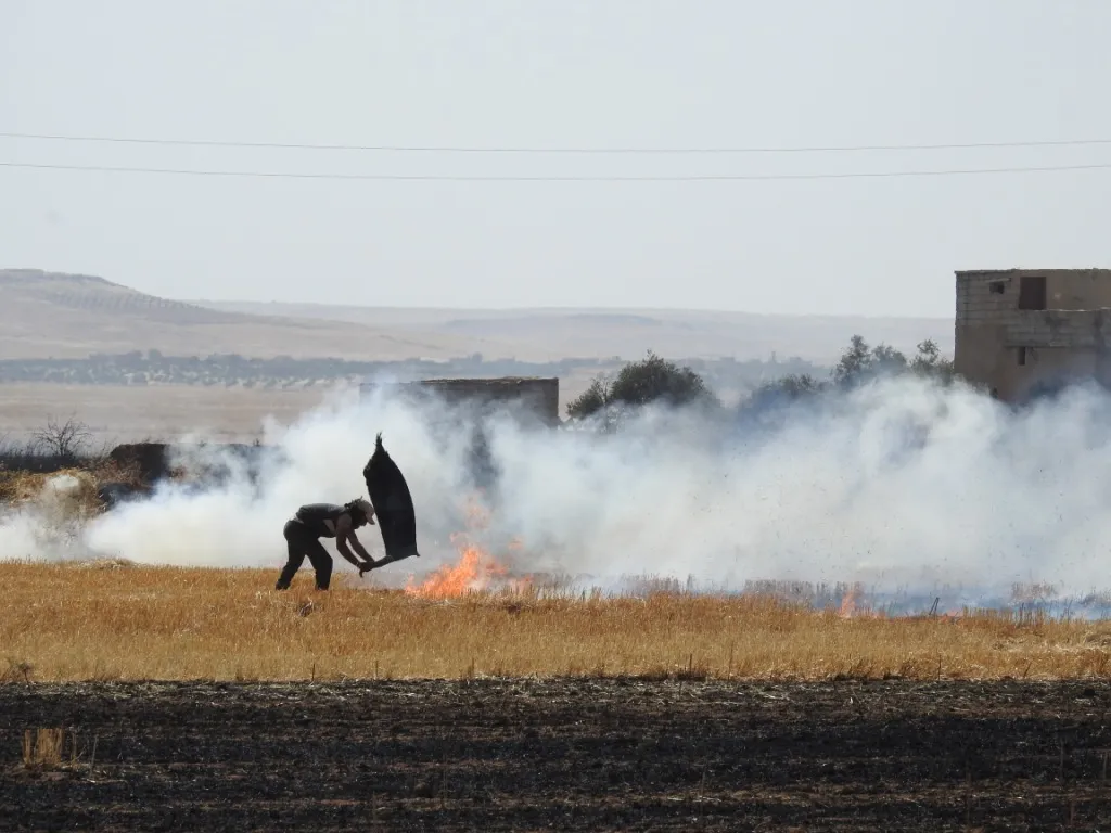 Zeviyên gundên rojavayê Girê Spî dişewitin