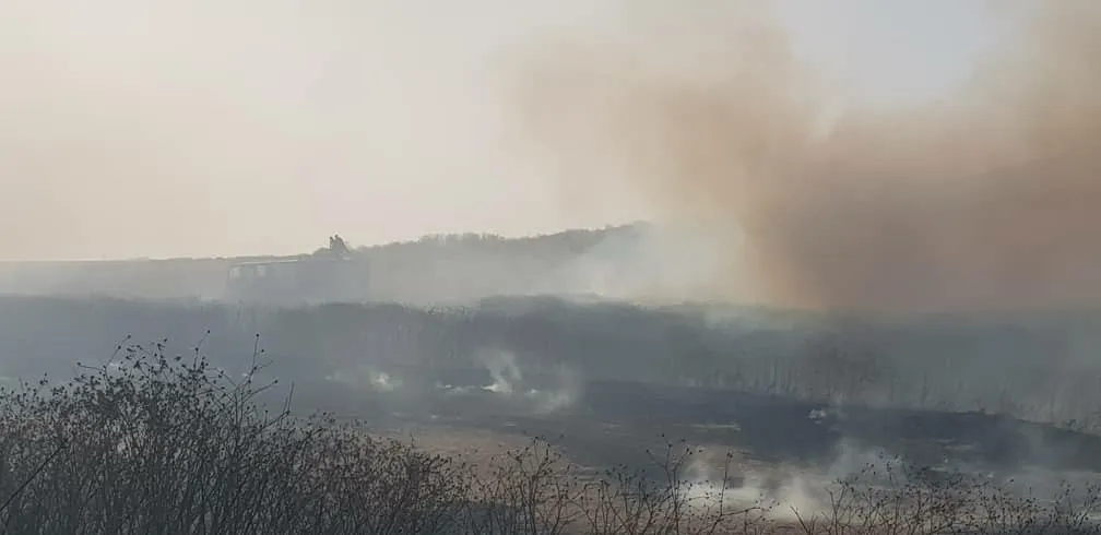 Şewata li Hesekê 5 hezar donim da ber xwe